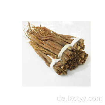 Honig geschnitten koreanischer roter Ginseng